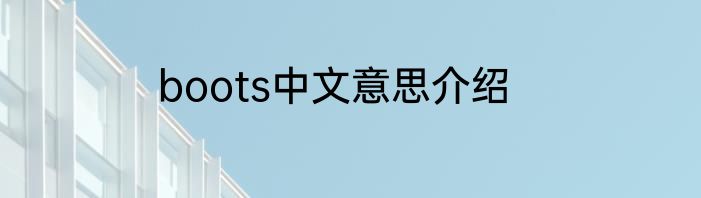 boots中文意思介绍