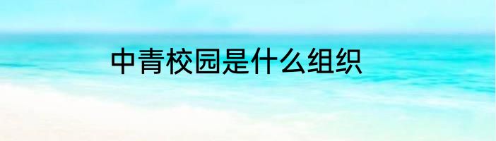 中青校园是什么组织