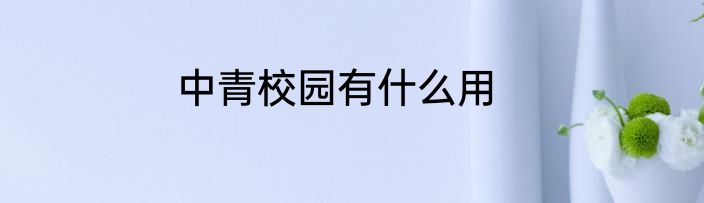 中青校园有什么用