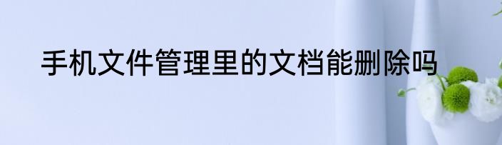 手机文件管理里的文档能删除吗