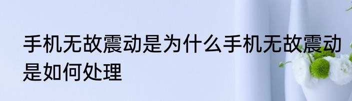手机无故震动是为什么手机无故震动是如何处理