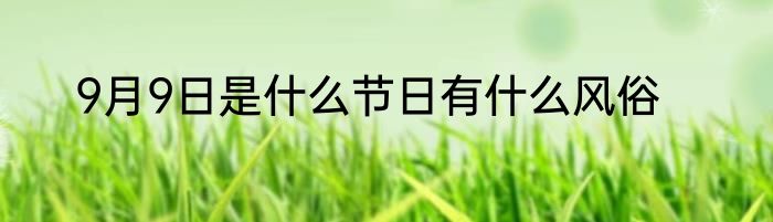 9月9日是什么节日有什么风俗