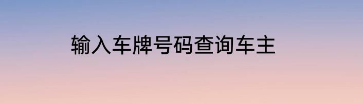 输入车牌号码查询车主