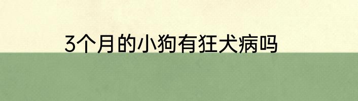 3个月的小狗有狂犬病吗