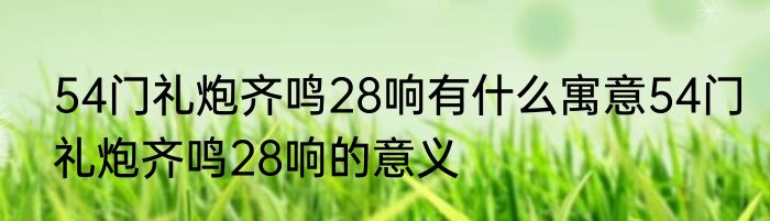 54门礼炮齐鸣28响有什么寓意54门礼炮齐鸣28响的意义