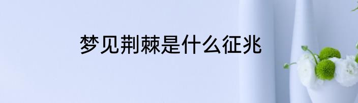 梦见荆棘是什么征兆