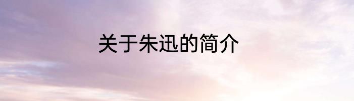 关于朱迅的简介