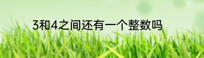 3和4之间还有一个整数吗