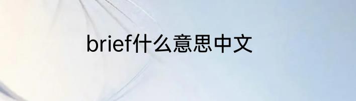 brief什么意思中文
