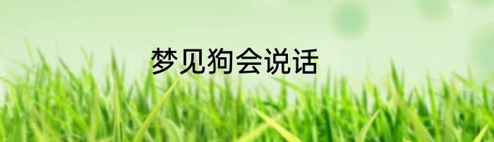 梦见狗会说话