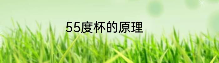 55度杯的原理