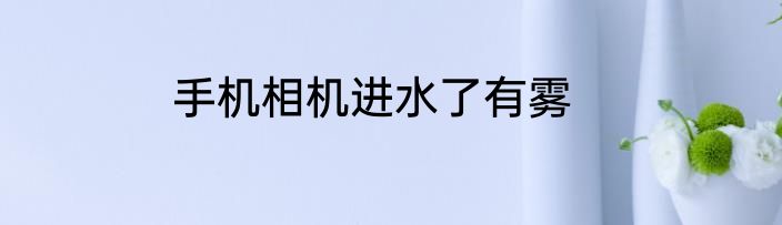 手机相机进水了有雾