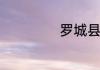 罗城县属于哪个市