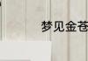 梦见金苍蝇是什么意思