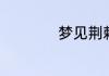 梦见荆棘是什么征兆