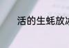 活的生蚝放冰箱可以保存多久