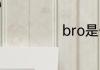 bro是什么意思啊