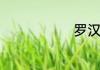 罗汉寺在哪里