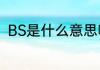 BS是什么意思啊怎么理解BS的意思