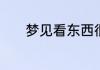 梦见看东西很模糊是什么意思