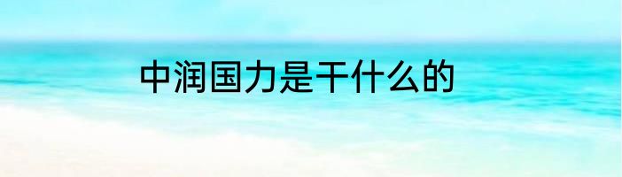 中润国力是干什么的
