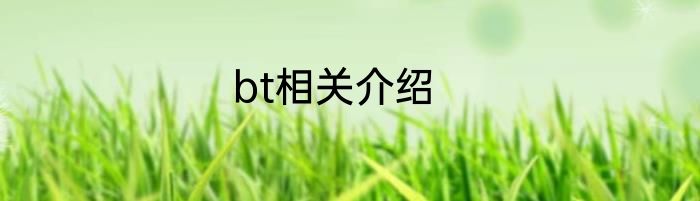 bt相关介绍