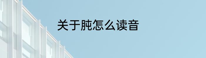 关于肫怎么读音