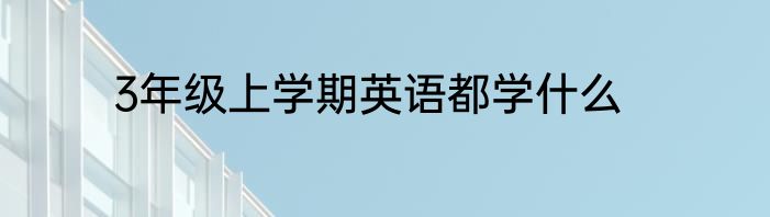 3年级上学期英语都学什么