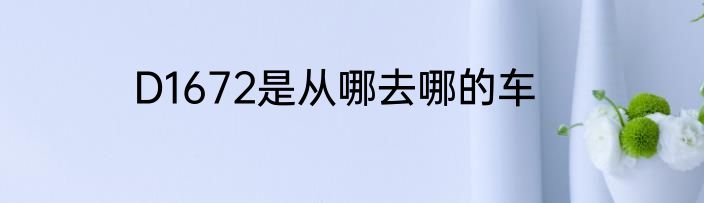 D1672是从哪去哪的车
