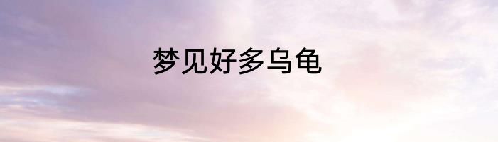 梦见好多乌龟