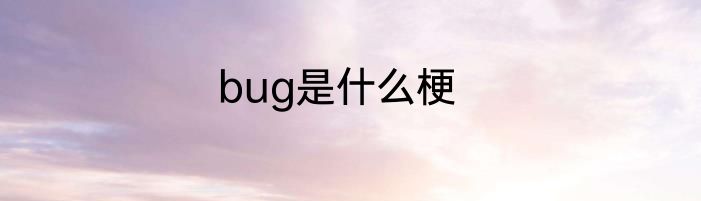 bug是什么梗