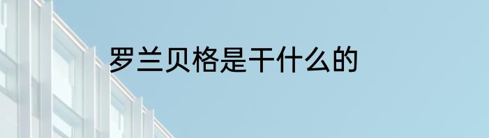 罗兰贝格是干什么的