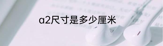 a2尺寸是多少厘米