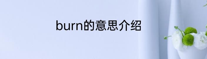 burn的意思介绍