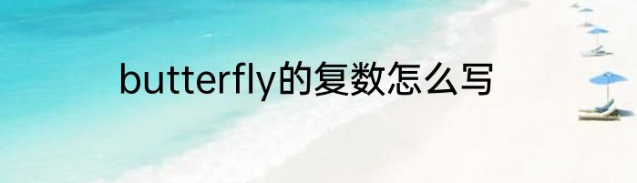butterfly的复数怎么写