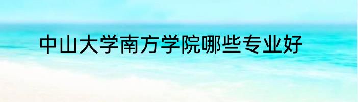 中山大学南方学院哪些专业好