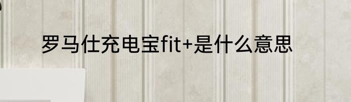 罗马仕充电宝fit+是什么意思