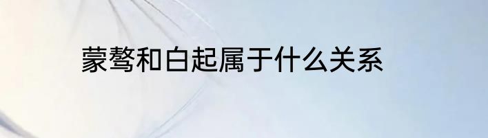 蒙骜和白起属于什么关系