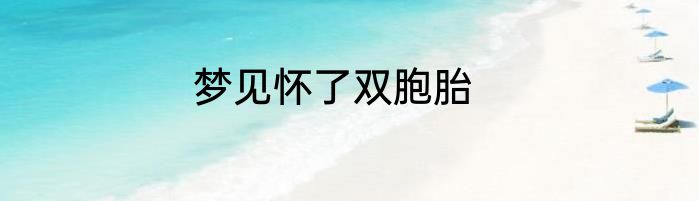 梦见怀了双胞胎