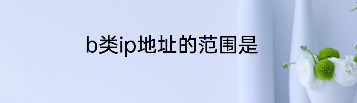 b类ip地址的范围是