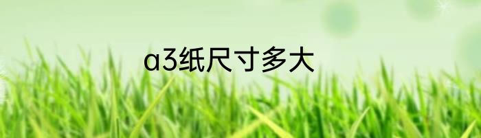 a3纸尺寸多大