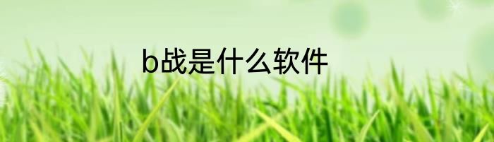 b战是什么软件