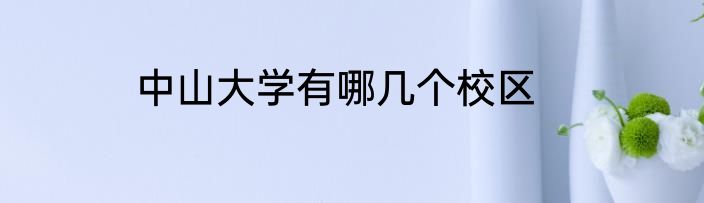 中山大学有哪几个校区