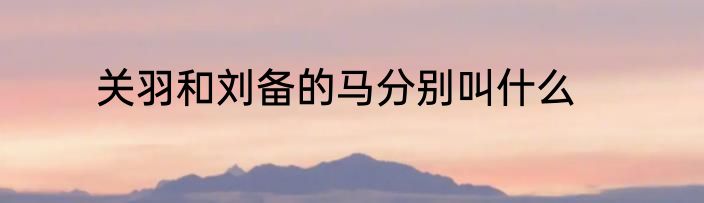 关羽和刘备的马分别叫什么