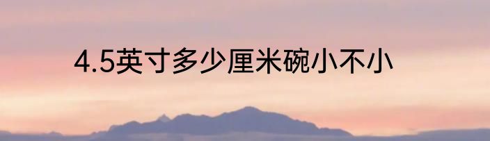 4.5英寸多少厘米碗小不小