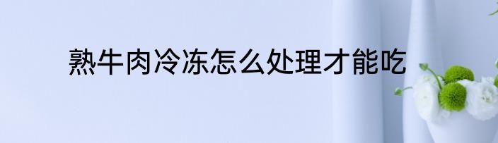 熟牛肉冷冻怎么处理才能吃