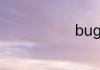 bug是什么梗