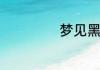 梦见黑猫什么意思