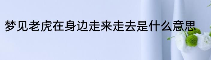 梦见老虎在身边走来走去是什么意思