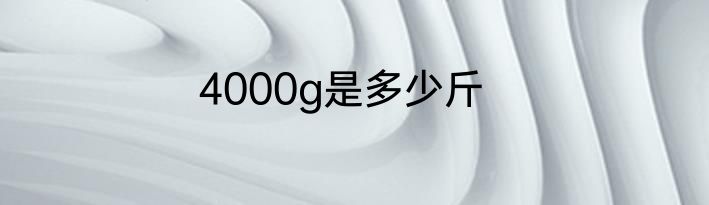 4000g是多少斤
